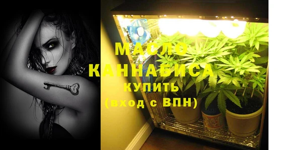 ECSTASY Богородицк
