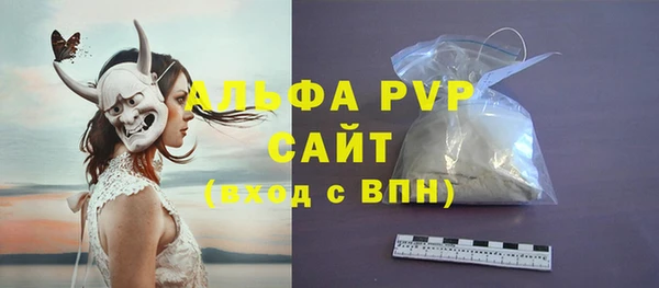 ECSTASY Богородицк