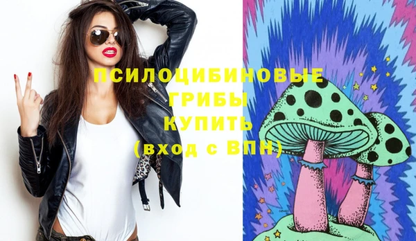 дживик Богданович