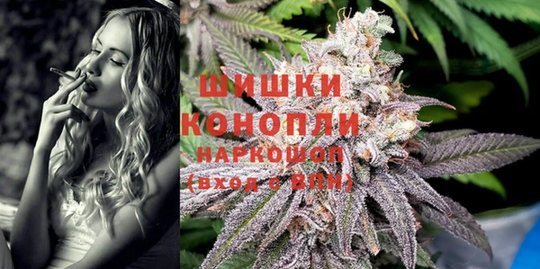 ECSTASY Богородицк