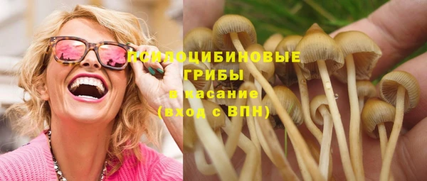 ECSTASY Богородицк
