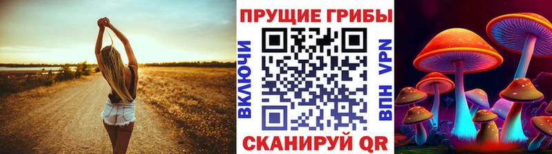 Купить закладки  Шумерля  Галлюциногенные грибы мухоморы 