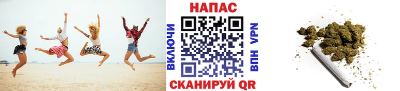 МАРИХУАНА сатива Купить закладки Шумерля